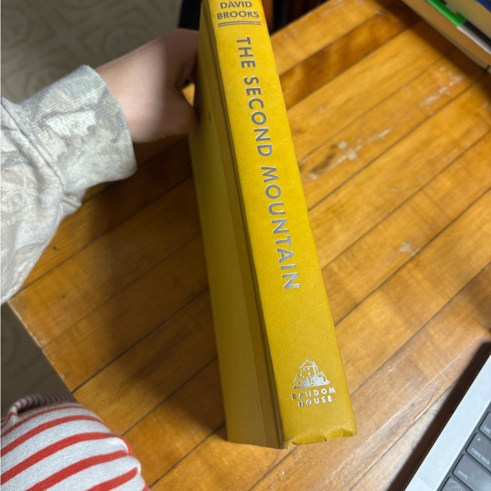 The second mountain by David Brooks